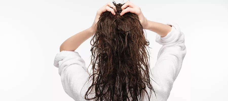 LUCIDO-L | Library | Your Ultimate Guide to Frizzy Hair – What Causes Frizz  and How to Tame It