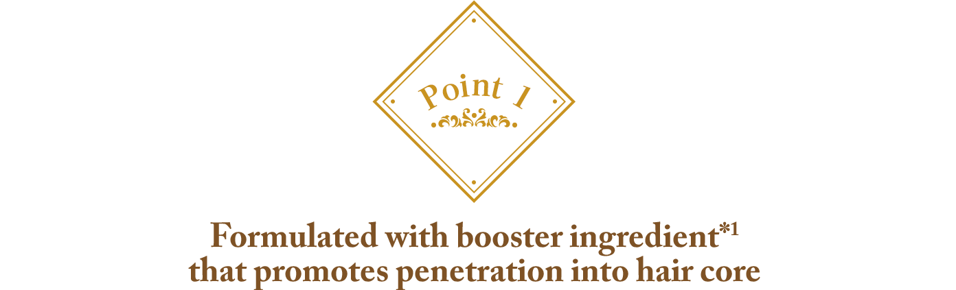 Point 1 髪内部への浸透を促進する「ブースト成分*1」配合