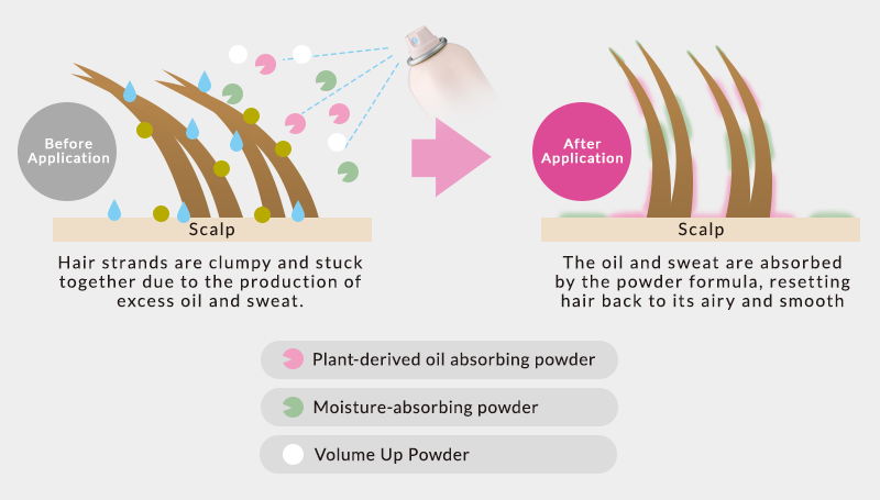 Hair strands are clumpy and stuck together due to the production of excess oil and sweat. | The oil and sweat are absorbed by the powder formula, resetting hair back to its airy and smooth state. | Plant-derived oil absorbing powder | Moisture-absorbing powder | Volume Up Powder